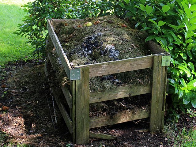 compost heap
