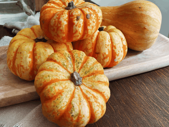 pumpkins